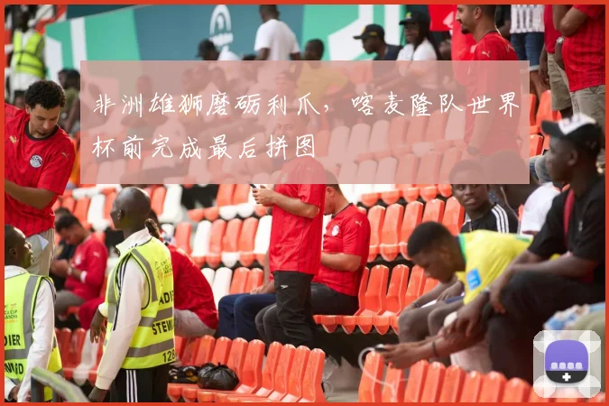 非洲雄狮磨砺利爪，喀麦隆队世界杯前完成最后拼图