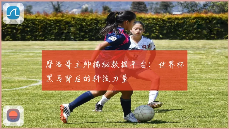 摩洛哥主帅揭秘数据平台：世界杯黑马背后的科技力量
