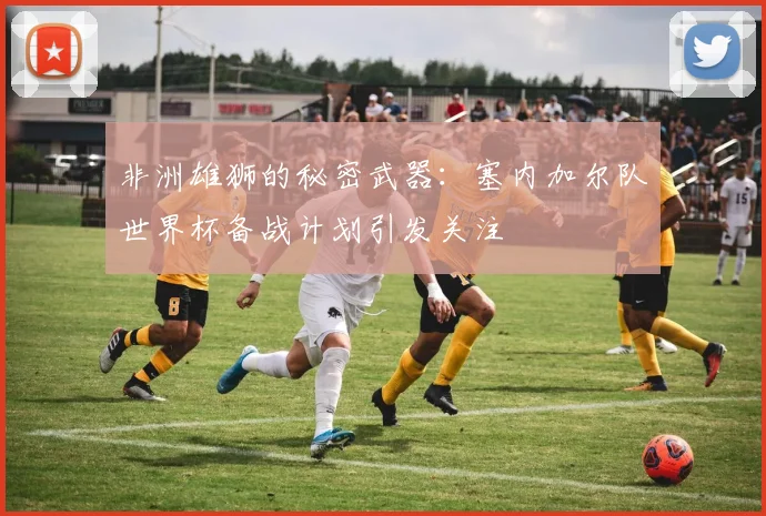 非洲雄狮的秘密武器：塞内加尔队世界杯备战计划引发关注