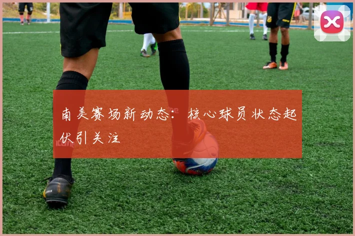 南美赛场新动态：核心球员状态起伏引关注