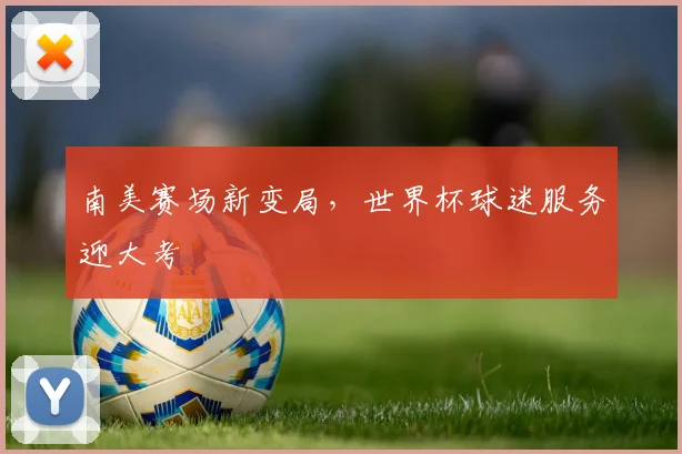 南美赛场新变局，世界杯球迷服务迎大考
